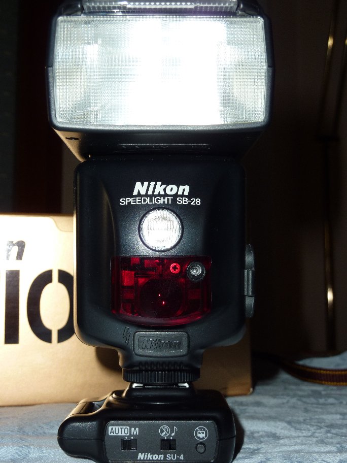 P1000145.JPG