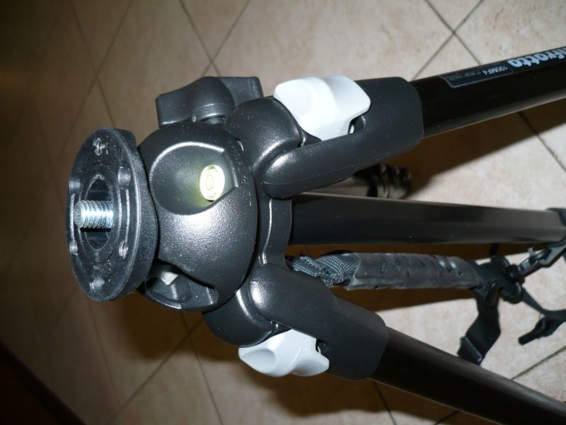P1000215_web.JPG