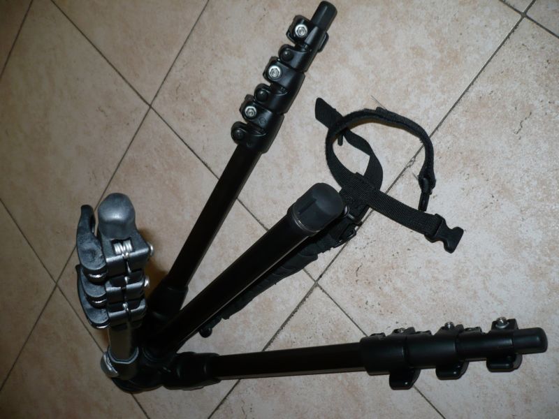 P1000216_web.JPG