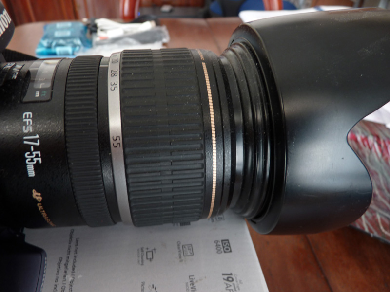 P1000328.JPG