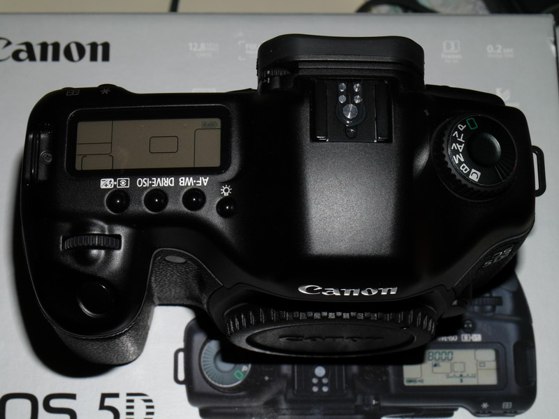 P1000329_resize.JPG