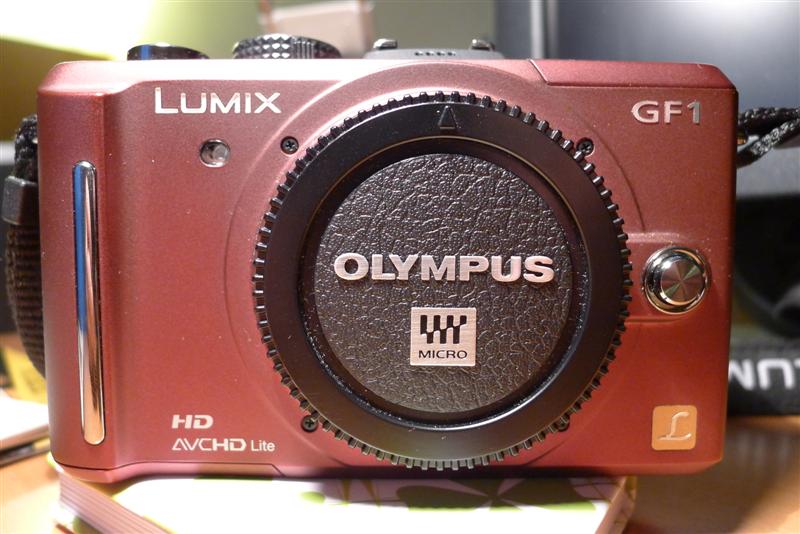 P1000348 (Medium).JPG