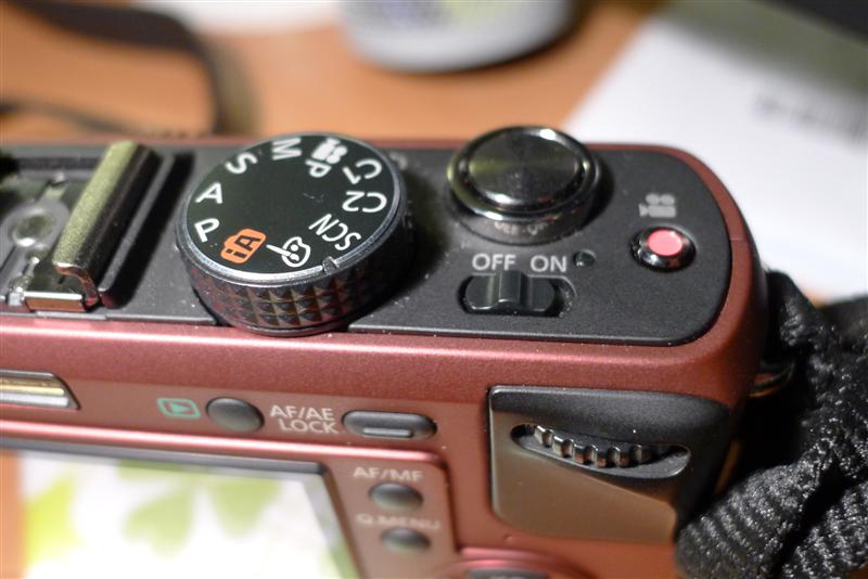 P1000350 (Medium).JPG