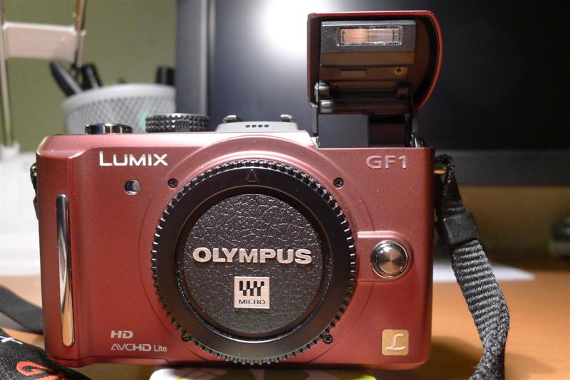 P1000351 (Medium).JPG