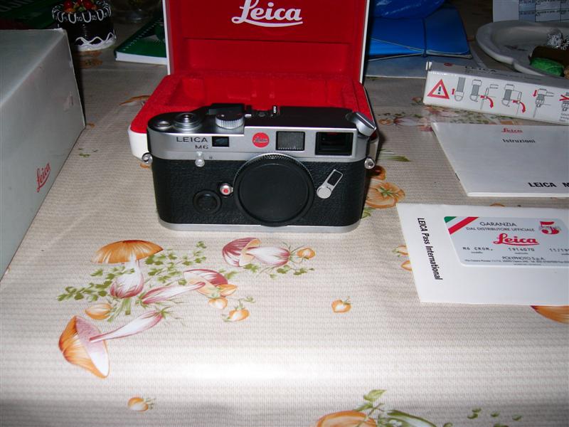 P1000395 (Medium).JPG