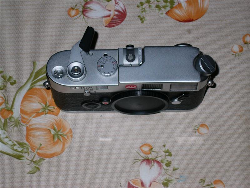 P1000400 (Medium).JPG