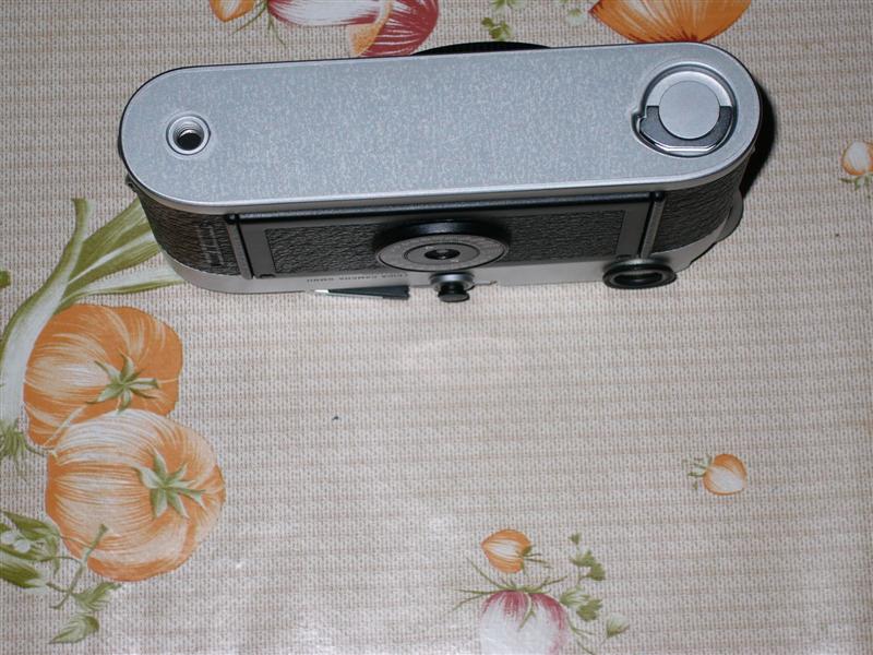 P1000401 (Medium).JPG