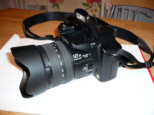 P1000410.jpg