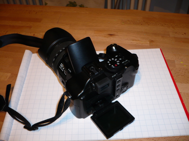 P1000411.jpg