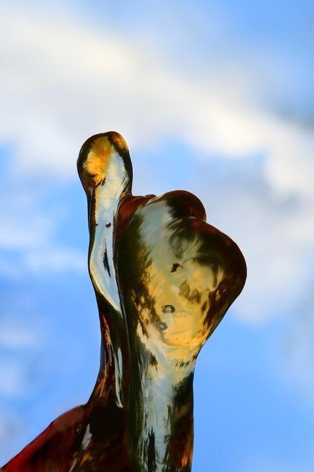 P1000416.JPG