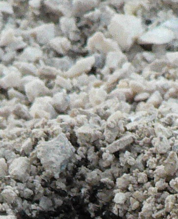 P1000464.jpg