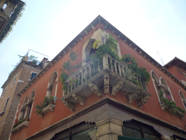 P1000485.jpg