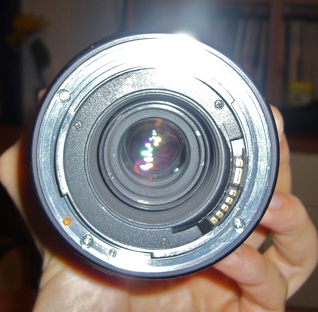 P1000513 2.jpg