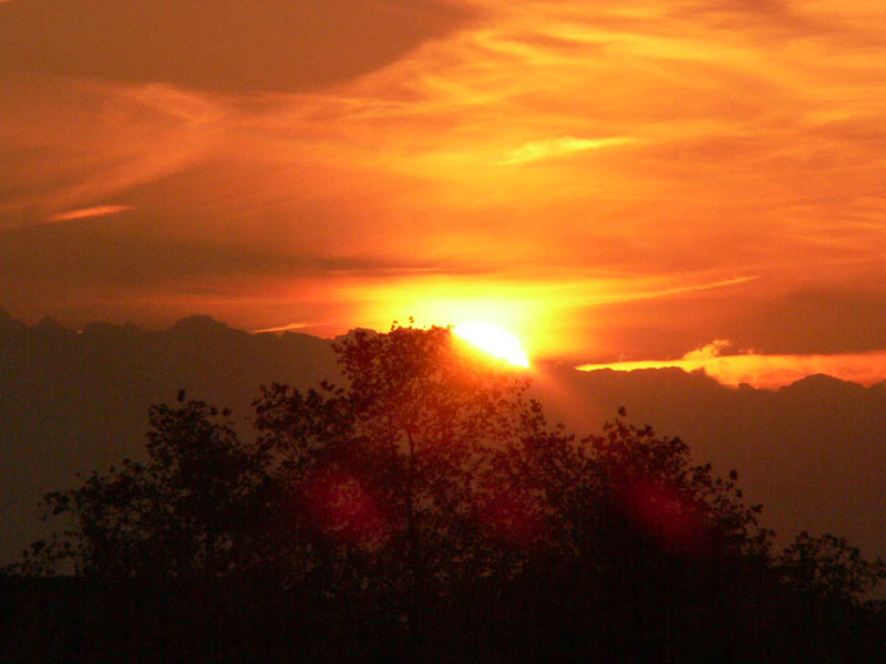 P1000564p.jpg