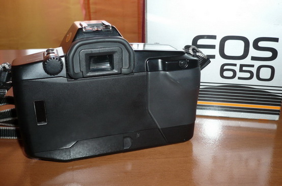 P1000570_resize_resize_resize.JPG