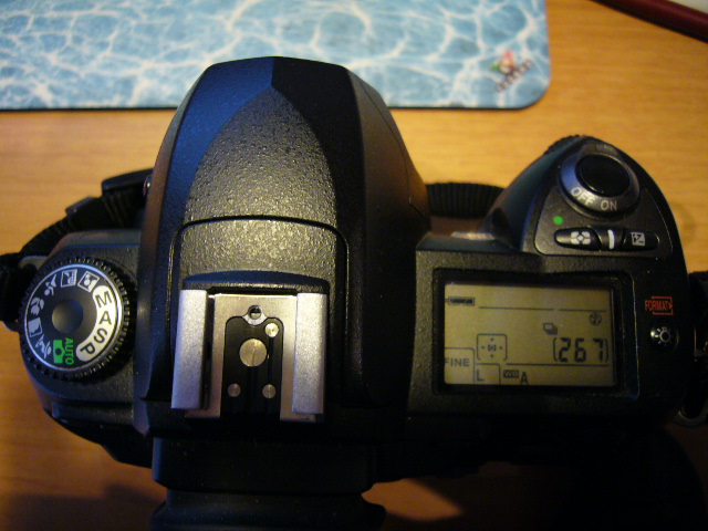 P1000577.JPG