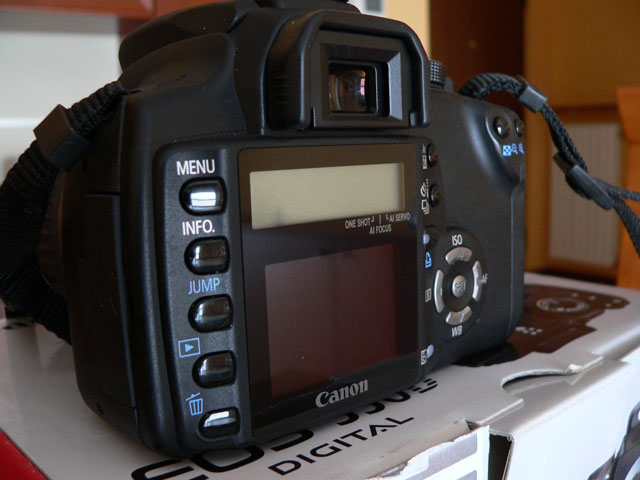 P1000648.jpg