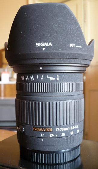 P1000785_resize_resize.JPG