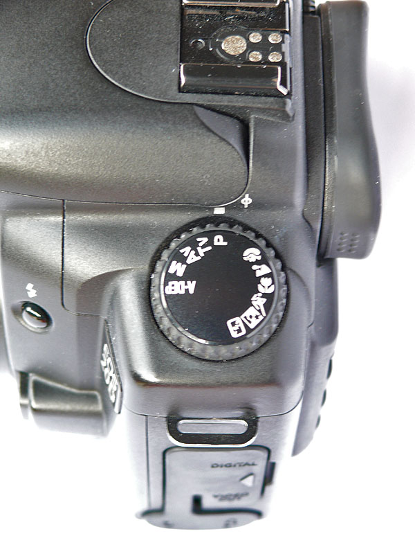 P1000871.jpg