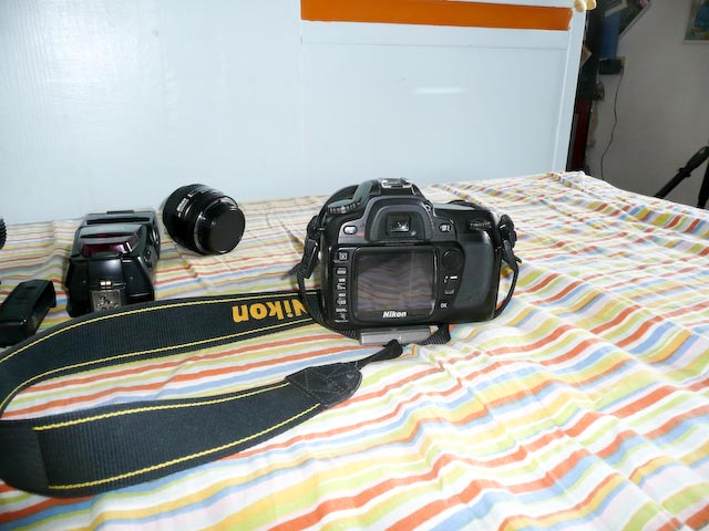 P1000896.jpg