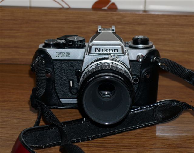 P1000953.JPG