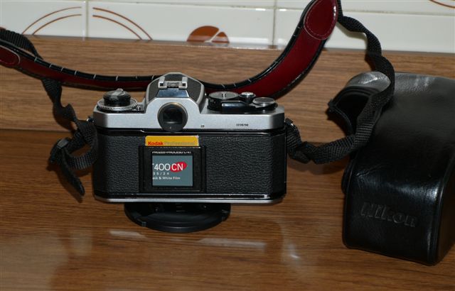 P1000956.JPG