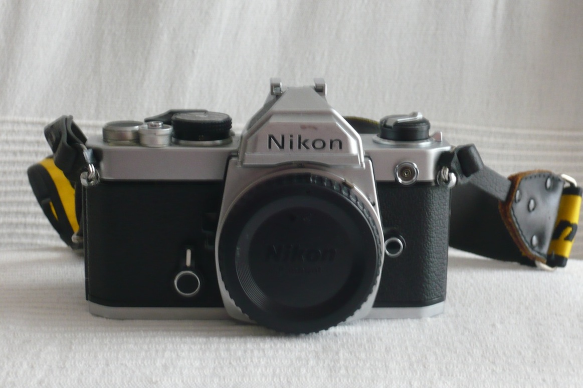 P1000995.JPG
