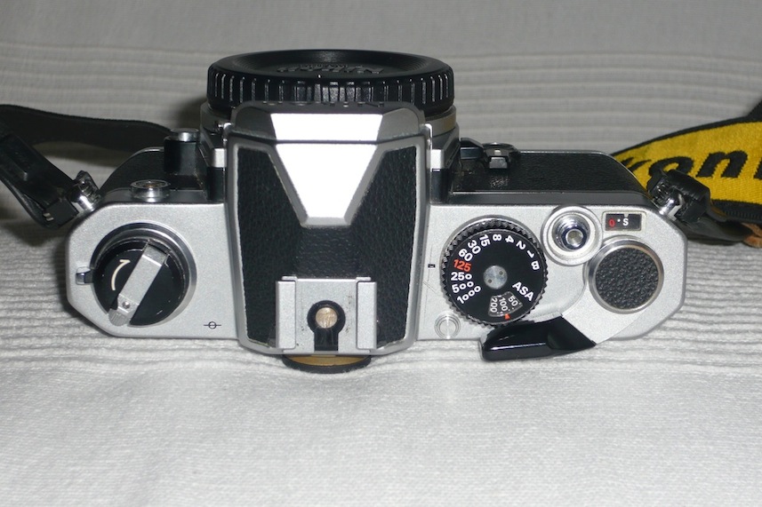 P1000998.JPG