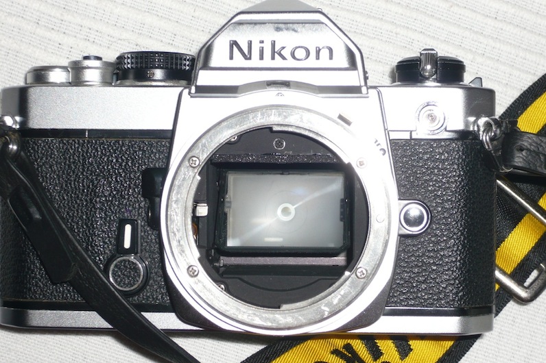P1010003.JPG