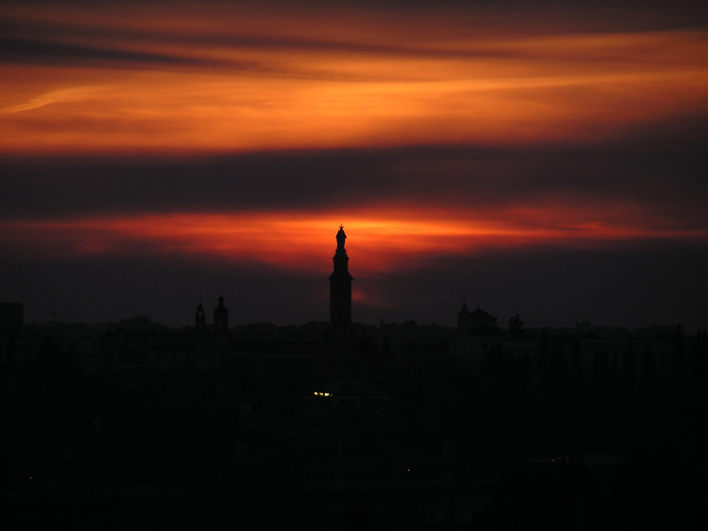 P1010005.JPG