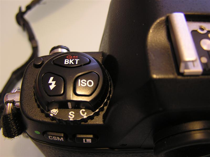 P1010006 (Medium).JPG