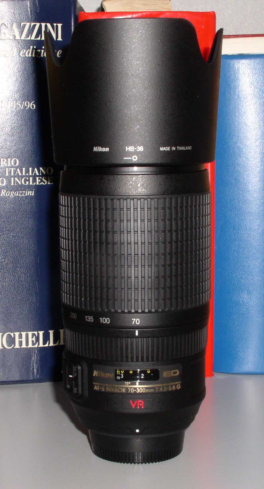P1010007.JPG