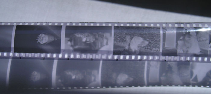 P1010007.jpg