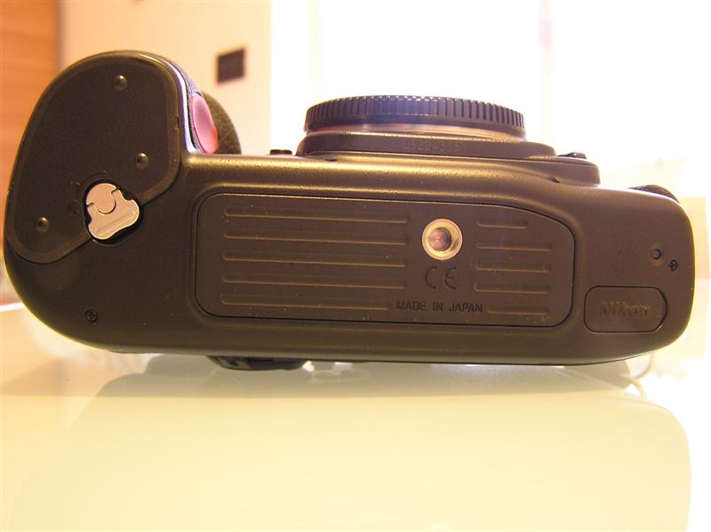 P1010008 (Medium).JPG
