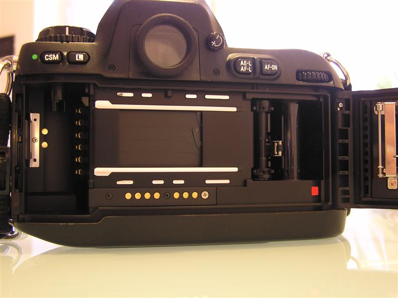 P1010009 (Medium).JPG