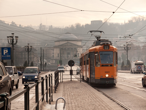 P1010012_low_2.jpg