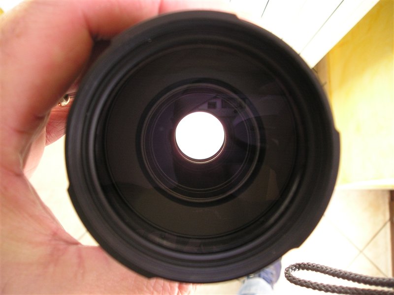 P1010012_modified.jpg