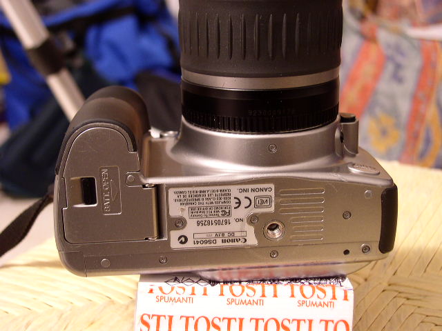 P1010013.JPG