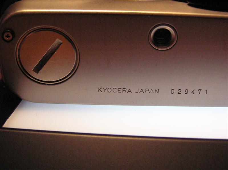 P1010025 (Medium).JPG