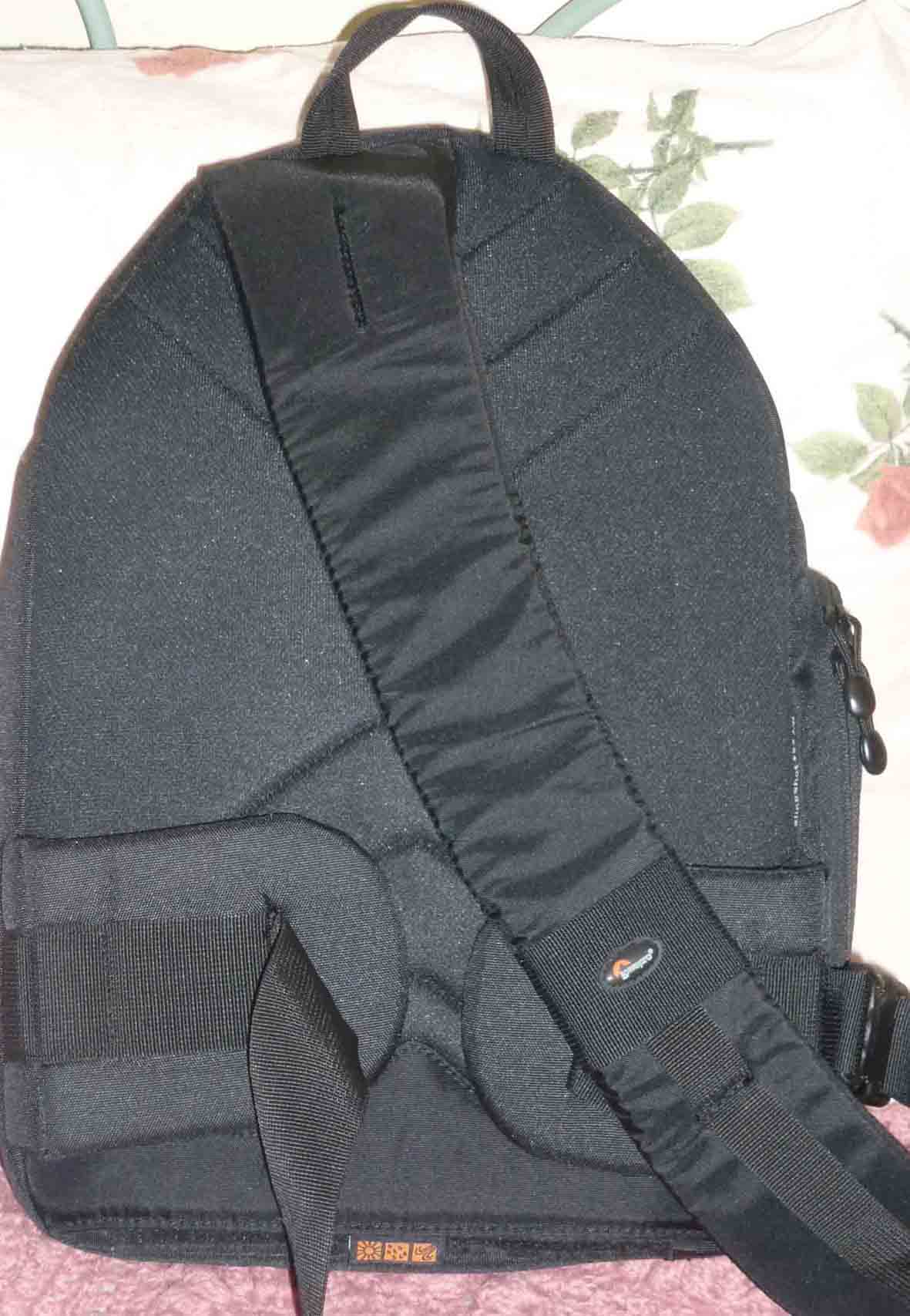 P1010031.jpg