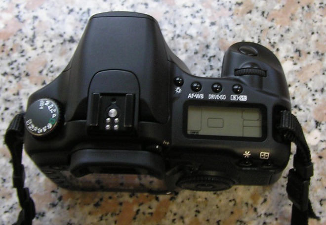 P1010037.JPG