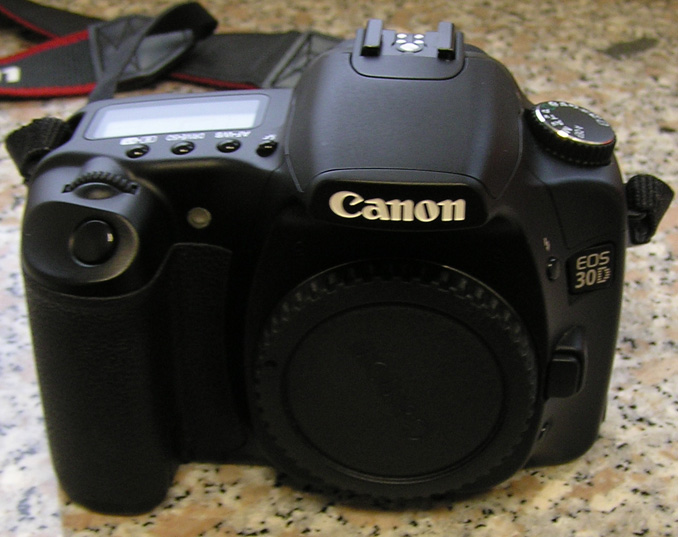 P1010038.JPG
