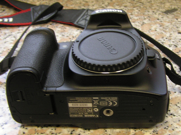 P1010039.JPG