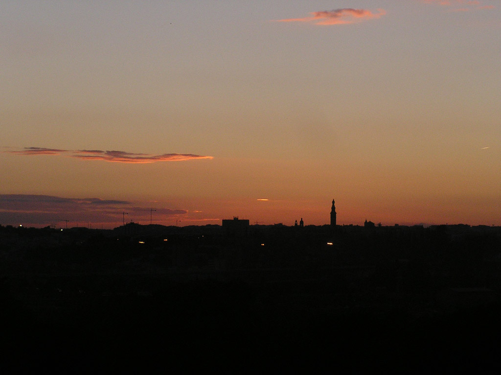 P1010044.JPG