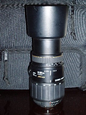 P1010060_300x400.jpg