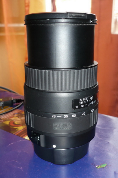 P1010085_resize_resize.JPG