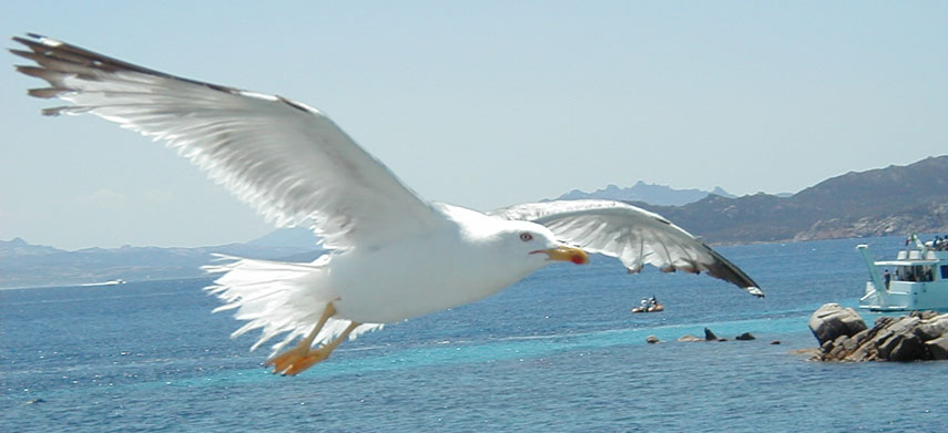 P1010086_1.JPG