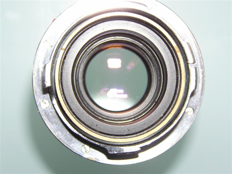P1010086 (Medium).JPG