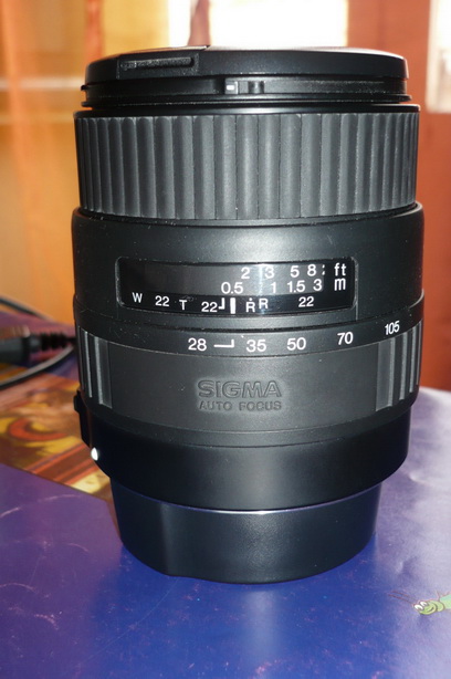 P1010086_resize_resize.JPG