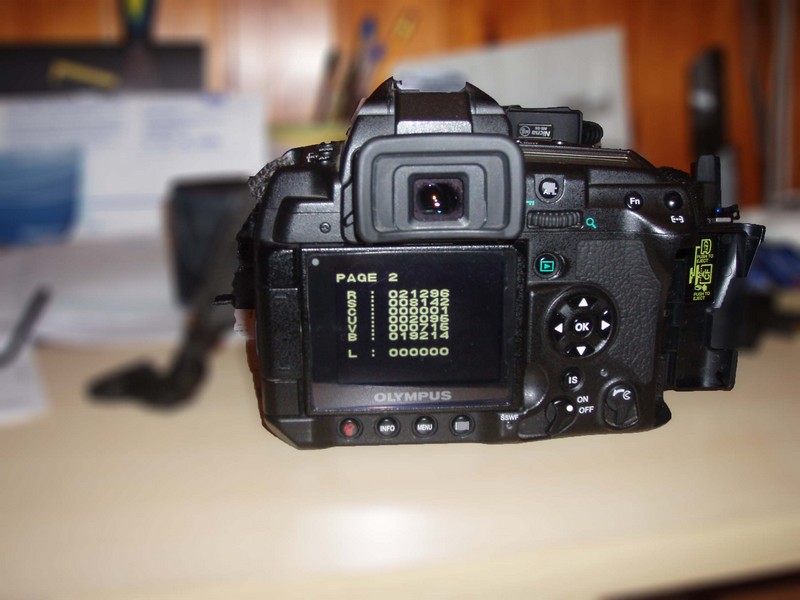 P1010092.JPG